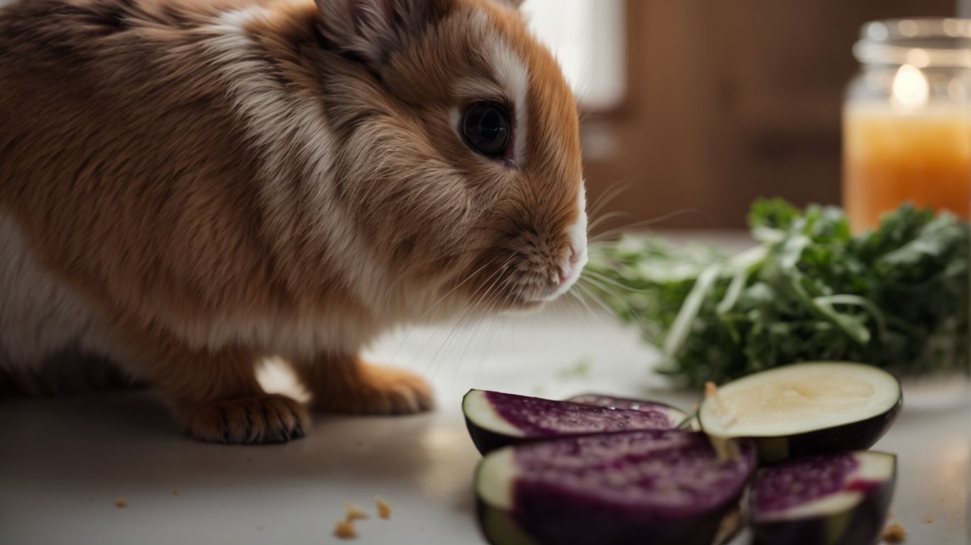 Benefits of Eggplant for Bunnies - Can Bunnies Eat Eggplant? 
