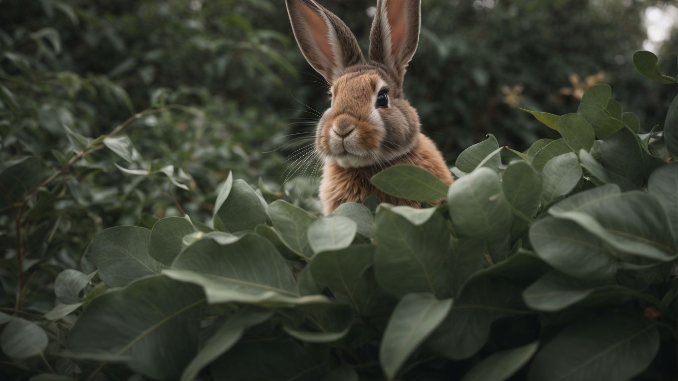 How to Safely Feed Eucalyptus Leaves to Bunnies? - Can Bunnies Eat Eucalyptus Leaves? 